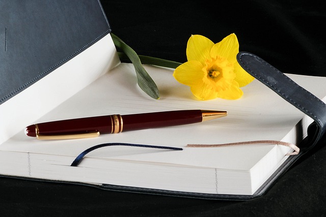 accounting ledger